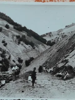 Carte postala, Romania, taietori de lemne, perioada interbelica
