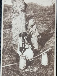 Carte Postala, Romania, tanara cu cobilite si barbat cu caciula de oaie, 1918