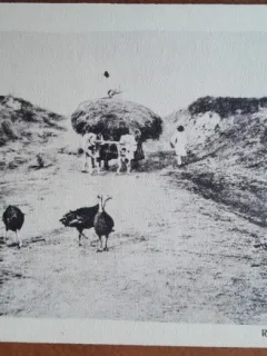 Carte postala, Romania, vedre de la tara, inceput de secol XX