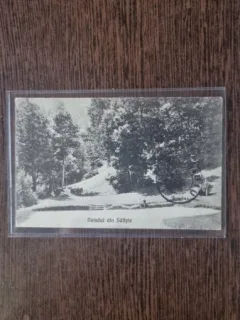 Carte Postala - Saliste. Netedul din Saliste