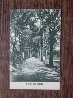 Carte Postala - Saliste. Parcul din Saliste