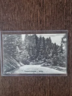 Carte Postala - Saliste. Piciorul Crintului