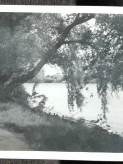 Carte postala, Satu Mare, lacul si plaja, 1916