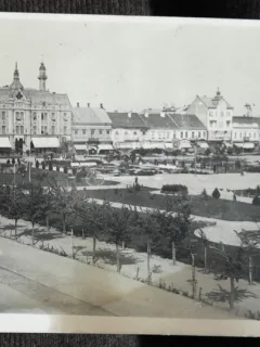 Carte postala, Satu Mare, parcul, 1930