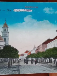 Carte postala, Satu Mare, perioada interbelica