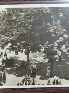Carte postala - Scoala centrala de fete din Bucuresti: Gradina mare