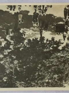 Carte postala, Scoala Centrala de Fete din Bucuresti. Gradina mare, perioada interbelica
