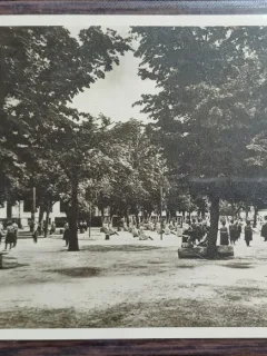 Carte postala - Scoala centrala de fete din Bucuresti: Ora de educatie fizica in gradina mare
