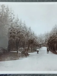 Carte postala, Sfantul Gheorghe, Parcul, 1930