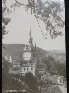 Carte Postala, Sighisoara, vedere generala, 1950