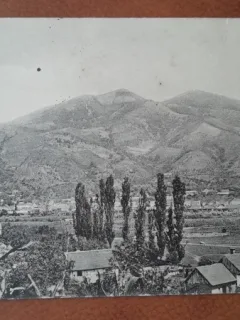 Carte postala, Simleul Silvaniei, 1913