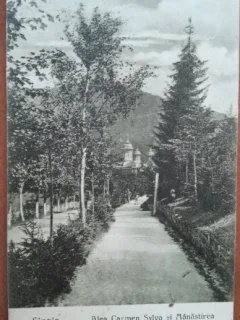 Carte postala, Sinaia, Aleeas Carmen Sylva si Manastirea, 1925