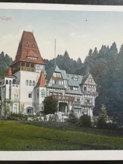 Carte postala, Sinaia, Castelul Pelisor, 1922