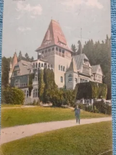 Carte postala, Sinaia, Castelul Pelisor cu Floraria, 1928