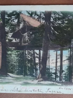 Carte postala, Sinaia, Cuibul Printesei, 1918