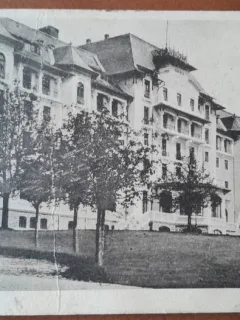 Carte postala, Sinaia, Hotel Palace, 1925