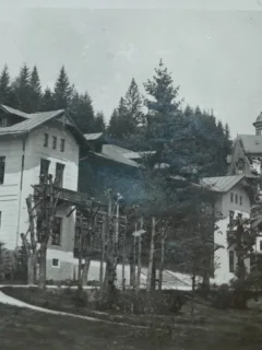 Carte postala, Sinaia, Hotel Regal, perioada interbelica