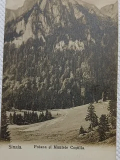 Carte postala, Sinaia Poiana si Muntele Costila, perioada interbelica