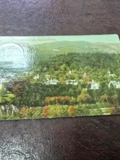 Carte postala, Sinaia, spre Poiana Florilor, 1914