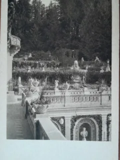 Carte postala, Sinaia, Terasa Castel Peles, perioada interbelica