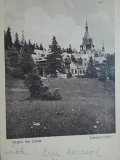 Carte postala, Sinaia, Vedere spre Castelul Peles, 1927
