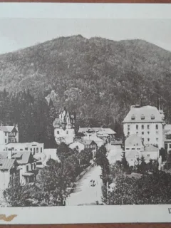 Carte postala, Sinaia, vedere spre parc, perioada interbelica