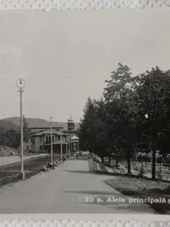 Carte Postala, Slanic Moldova, Aleea Principala si Cazinoul Regal, 1937