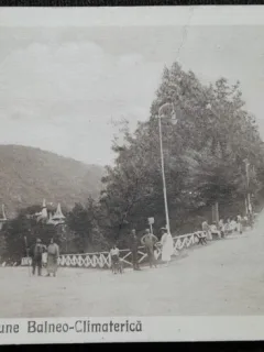 Carte postala, Sovata Aleea Principala, 1925