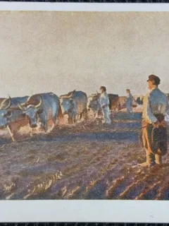 Carte Postala, Tablou din Galeria Polska, Krakow, perioada interbelica