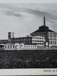 Carte postala, Tarnaveni Fabrica de sticla, perioada interbelica