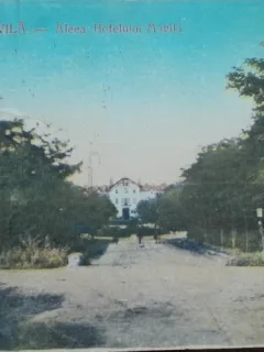 Carte postala, Techirghiol Movila, aleea hotelului Movila, 1932