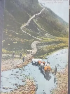 Carte postala, Tg. Ocna, in drum spre Slanicul Moldovei, 1932