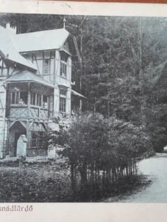 Carte postala, Tusnad Bai, vila Eliza, 1920