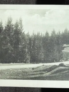 Carte postala, Tusnad drum de tara, 1928