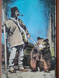 Carte postala, Ursar din Romania, perioada interbelica