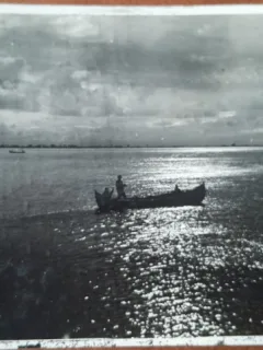 Carte postala, Valcov, Noapte pe Dunare, 1939