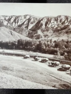 Carte postala, Valea Ariesului, perioada interbelica