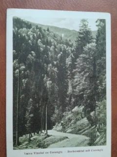 Carte postala, Valea Vinului cu Corongis, 1925