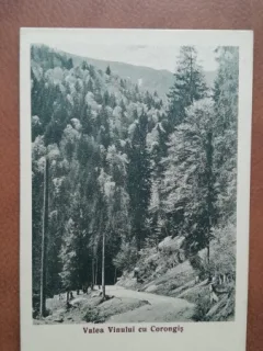 Carte postala, Valea Vinului cu Corongis, 1935