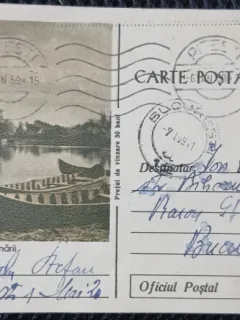Carte Postala, Vedere din Delta Dunarii, 1959