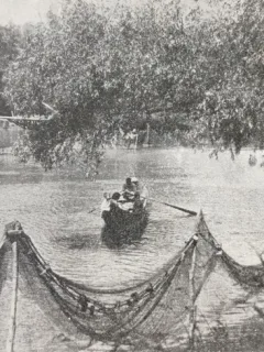 Carte Postala, Vedere din Delta Dunarii, perioada interbelica