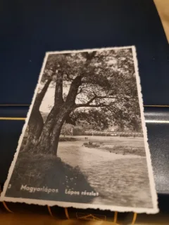 Carte Postala - Vedere din parc