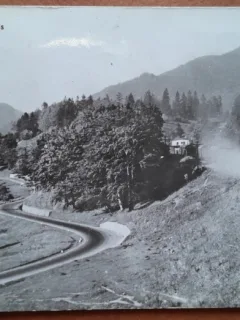 Carte postala, vedere din Timisul de Jos, 1947