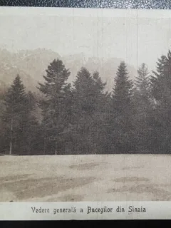 Carte postala, Vedere generala a Bucegilor din Sinaia, perioada interbelica
