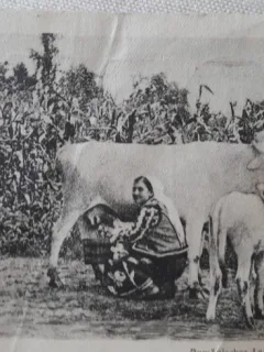 Carte postala, vedere la tara, in Romania, 1918