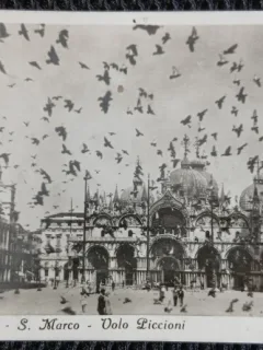 Carte Postala, Venezia, S. Marco, Volo Piccioni, perioada interbelica