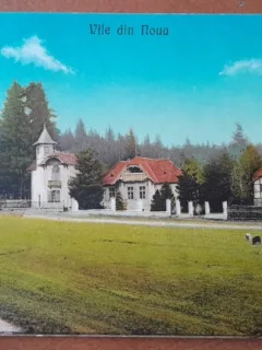 Carte postala, vile din Noua, 1925