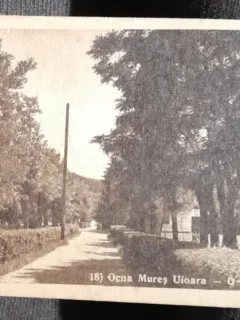 Carte pstala, Ocna Mures Uioara, o partedin parc, perioada interbelica