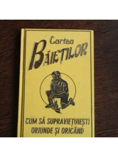 CARTEA BAIETILOR