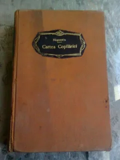 CARTEA COPILARIEI - ION NEGOESCU